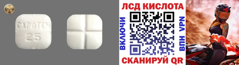 Лсд 25 экстази кислота  дарк нет формула  Каргополь 